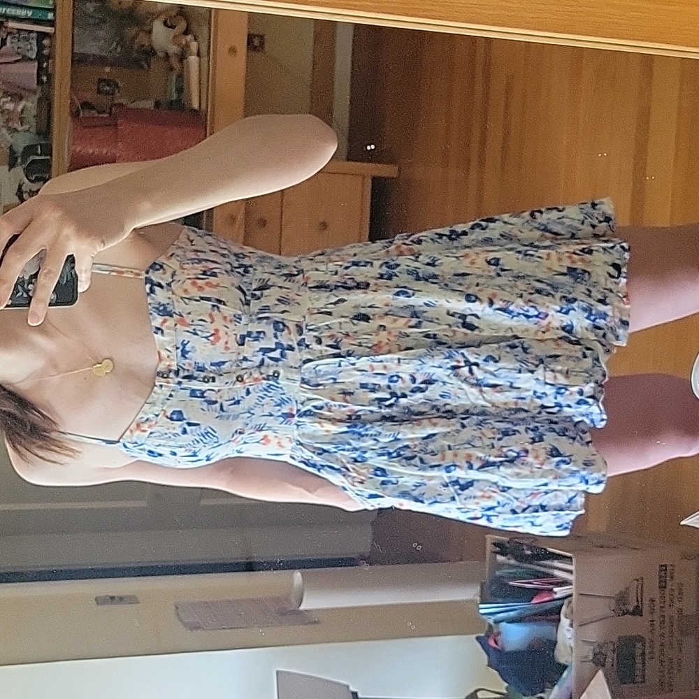 Express fit & flare dress
